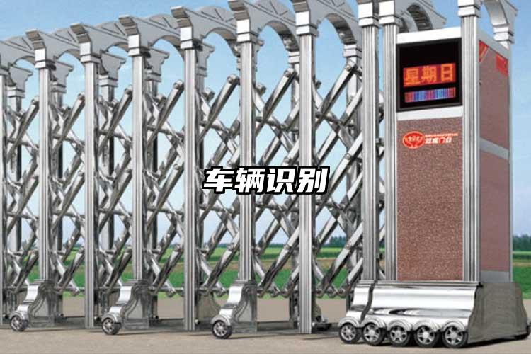 车辆识别