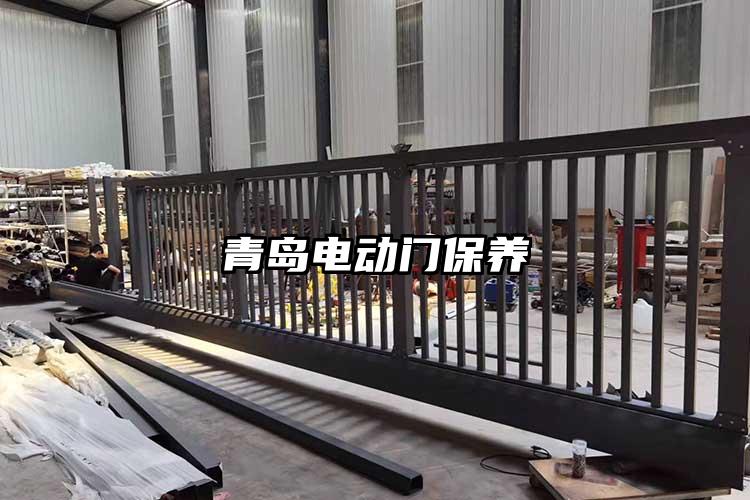 青岛电动门保养