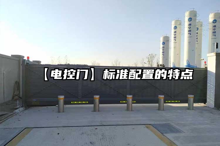 【电控门】标准配置的特点