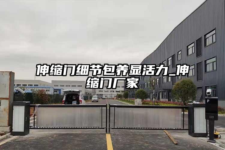 伸缩门细节包养显活力_伸缩门厂家
